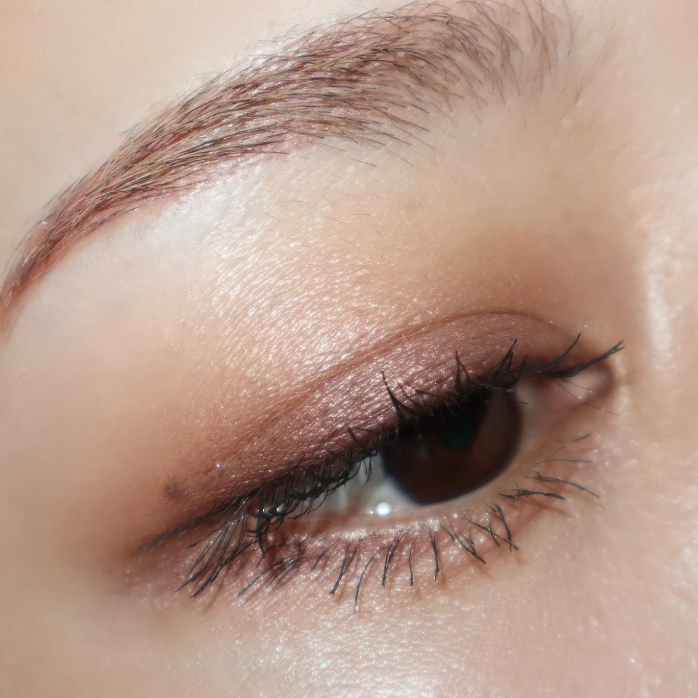 レ キャトル オンブル ブトン/CHANEL/アイシャドウパレットを使ったクチコミ(8枚目)