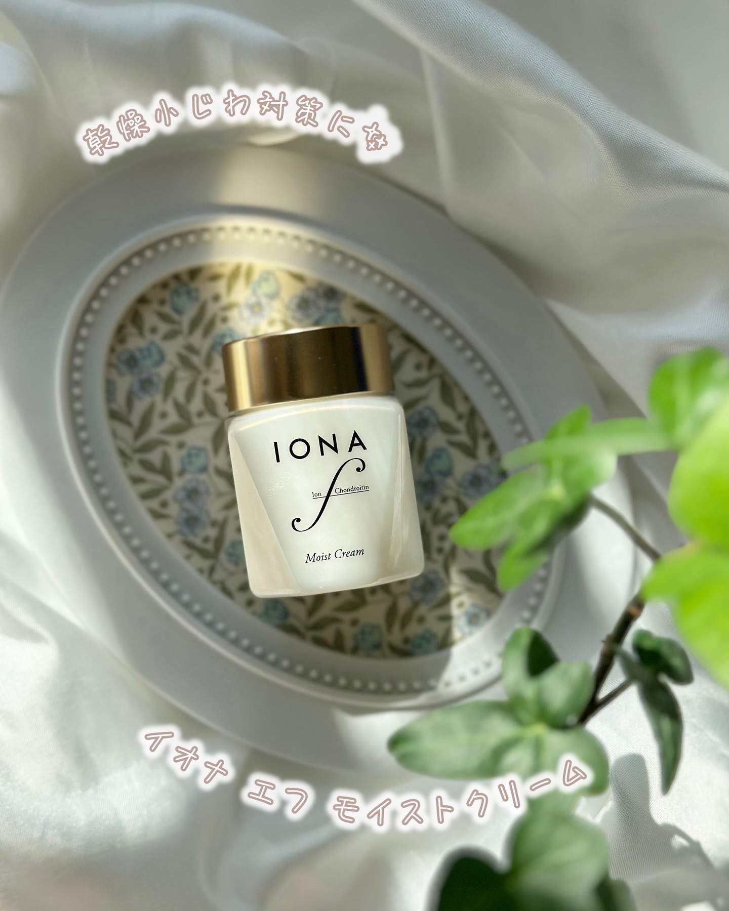 モイスト クリーム/イオナ エフ/フェイスクリームを使ったクチコミ（1枚目）