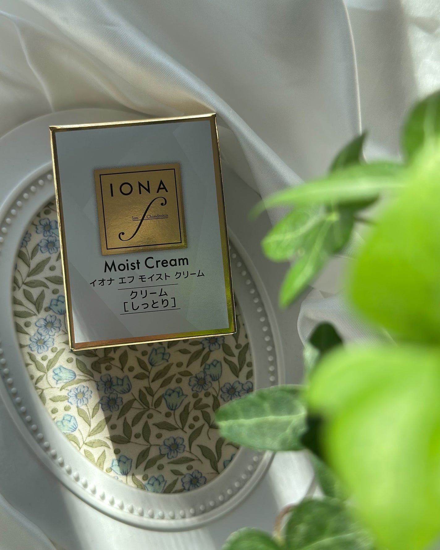 モイスト クリーム/イオナ エフ/フェイスクリームを使ったクチコミ(7枚目)