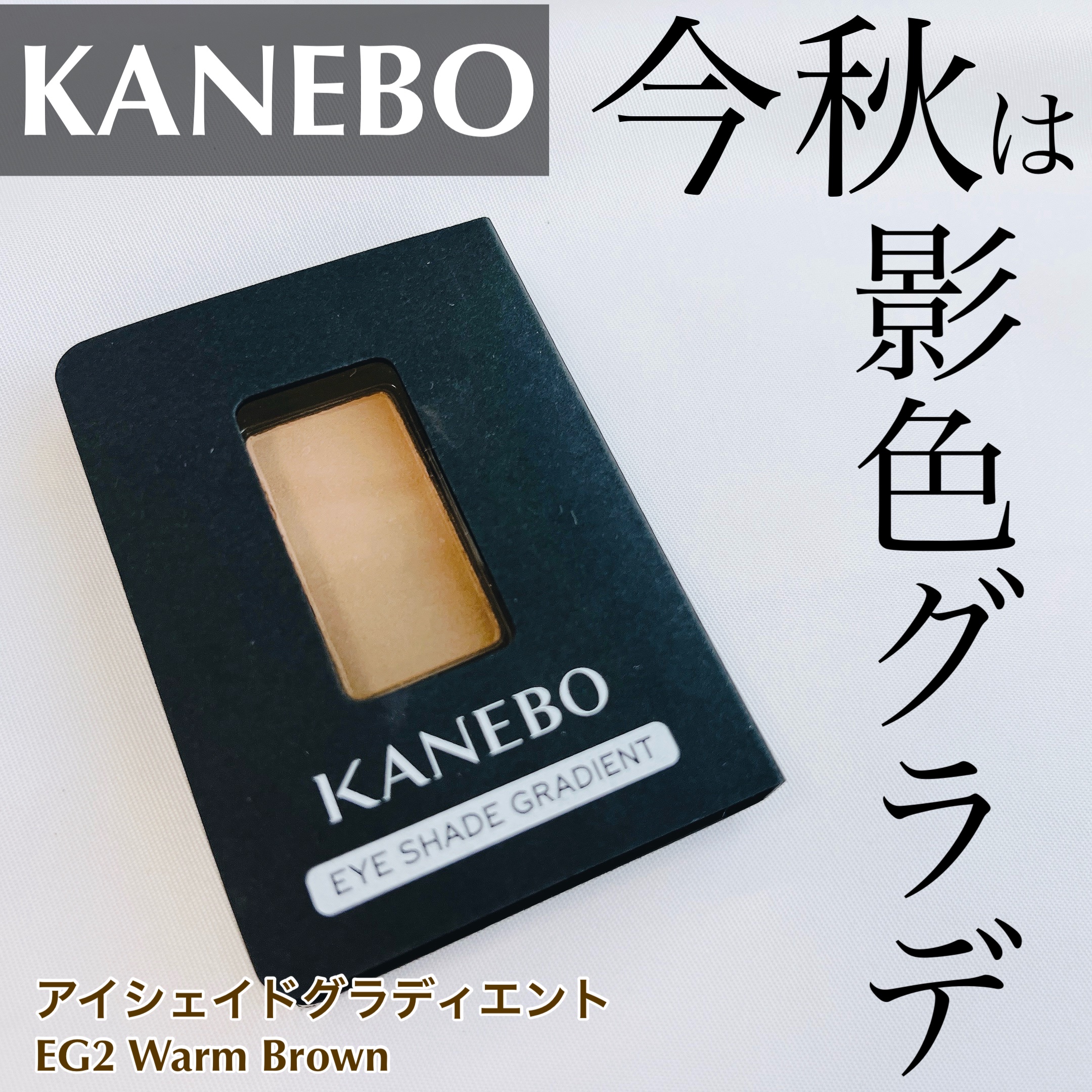 カネボウ アイシェイドグラディエント/KANEBO/パウダーアイブロウを使ったクチコミ（1枚目）
