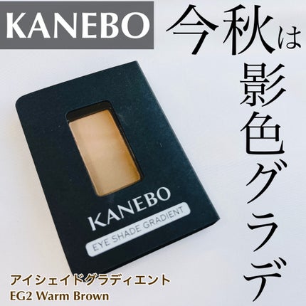 カネボウ アイシェイドグラディエント/KANEBO/パウダーアイブロウを使ったクチコミ(1枚目)