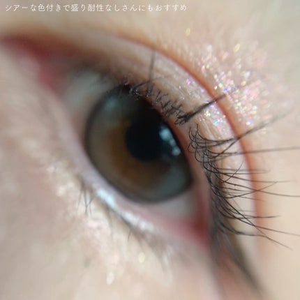 ベターミーアイパレット/2aN/マルチパレットを使ったクチコミ(5枚目)