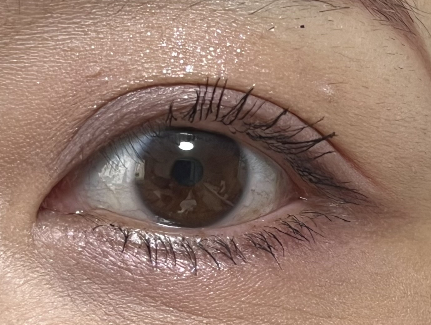 エスト トランスフィア アイカラー/est/アイシャドウパレットを使ったクチコミ（2枚目）