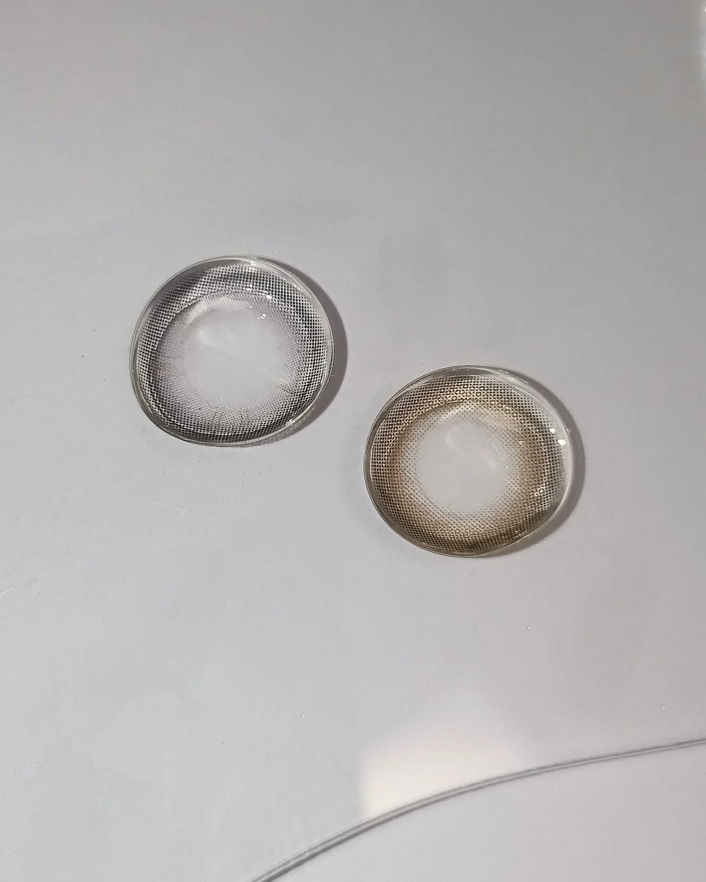 ProWink 1day/ProWink/ワンデー（１DAY）カラコンを使ったクチコミ（2枚目）