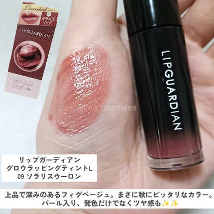 ブレンドベリー ブライトニング ピコセラムクッション UV 004 ラベンダーベージュ/BLEND BERRY/クッションファンデーションの画像