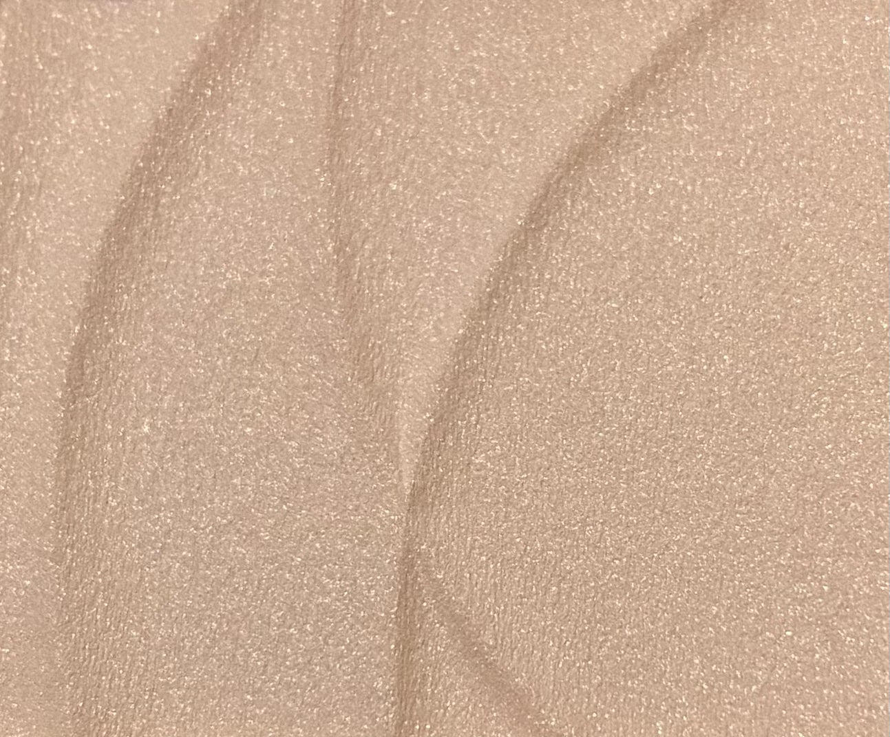 トーンフィルターハイライト/CEZANNE/パウダーハイライトを使ったクチコミ(2枚目)