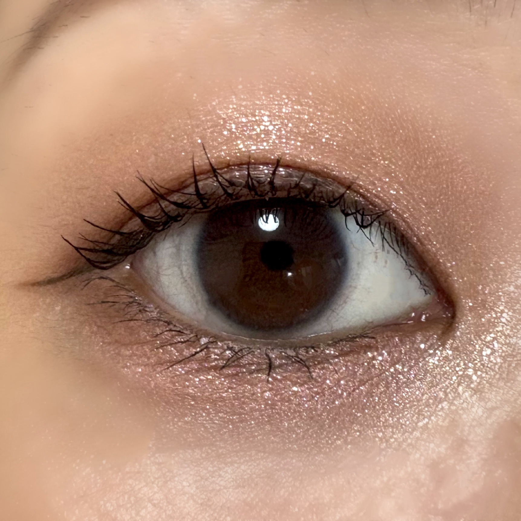 ソフトブラーリングアイパレット/wakemake/アイシャドウパレットを使ったクチコミ（3枚目）