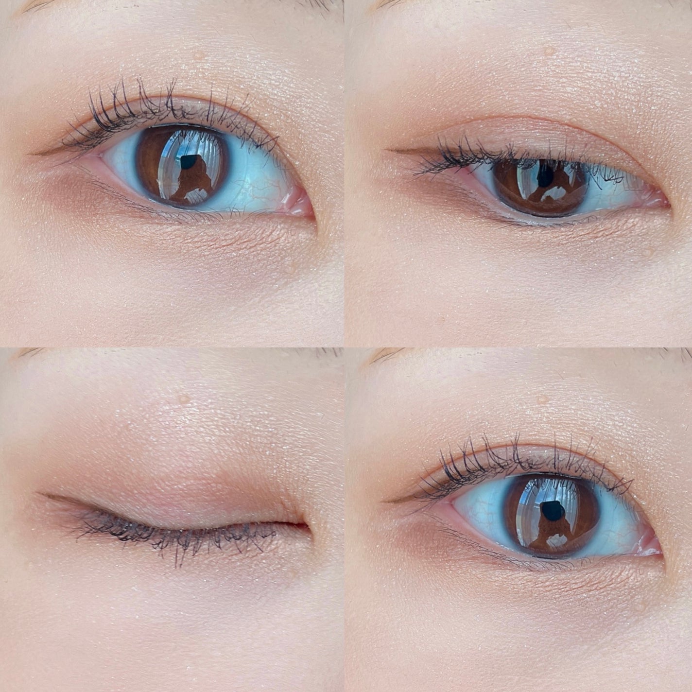 ウォンジョンヨ W デイリームードアップパレット /Wonjungyo/アイシャドウパレットを使ったクチコミ(5枚目)