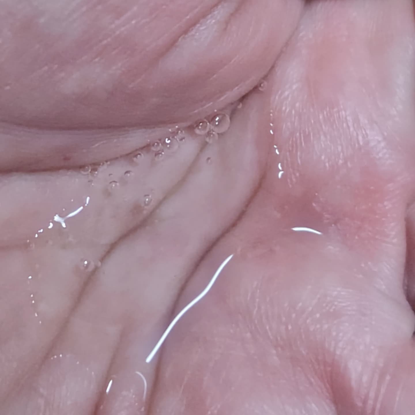 ディアボーテ ディアボーテ ブルームドール モイスチャーイン シャンプー/トリートメントのクチコミ「#PR
#ディアボーテ 
#LIPSプレゼント

ディアボーテさまから

「ブルームドール モ.....」（2枚目）