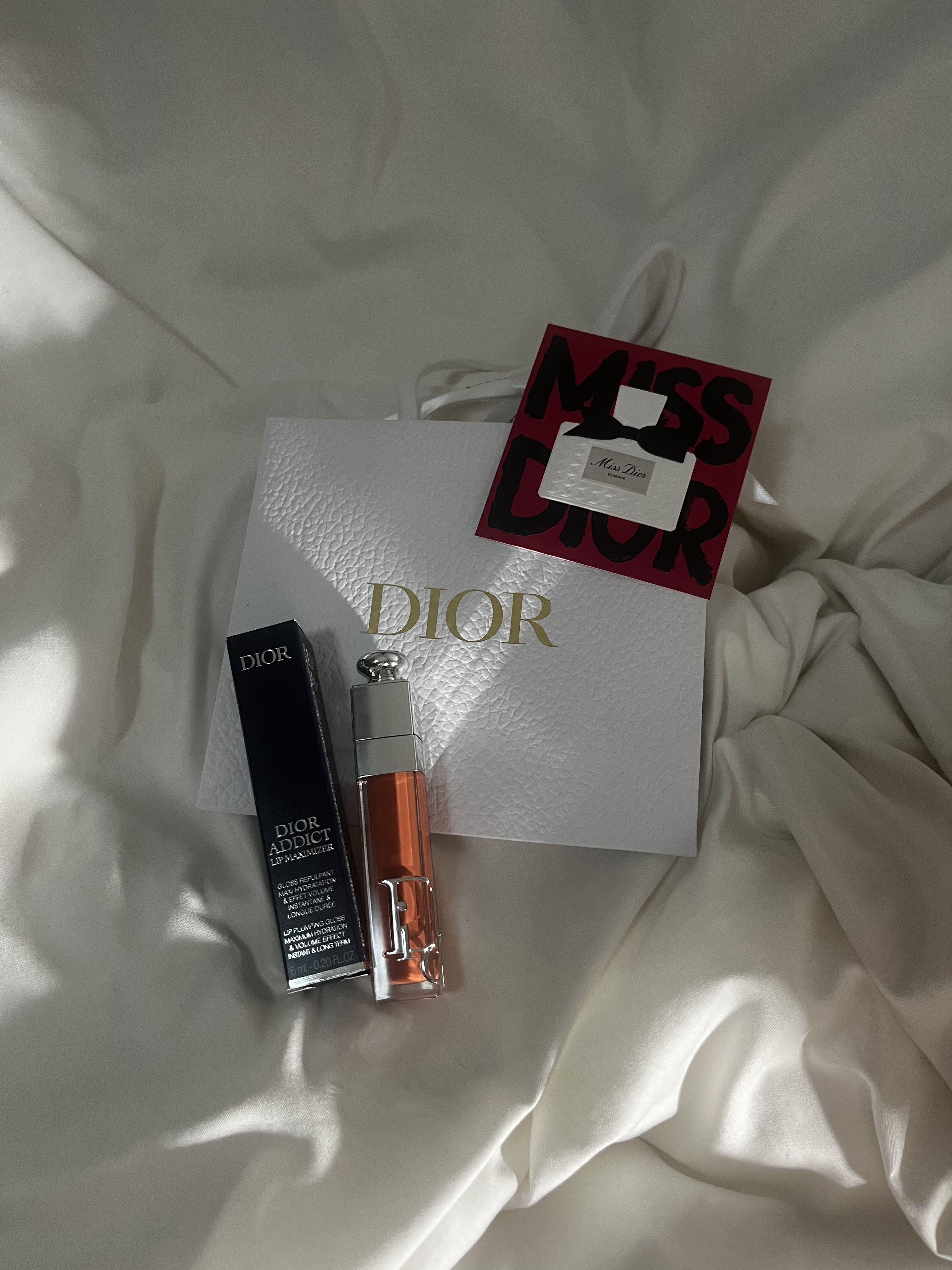 ディオール アディクト リップ マキシマイザー 039インテンス シナモン/Dior/リップグロスを使ったクチコミ（1枚目）