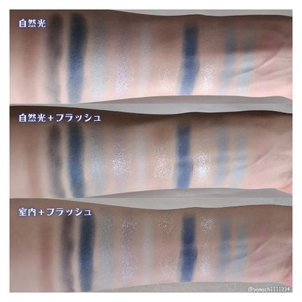 エクスプローラ12色 動物アイシャドウパレット/PERFECT DIARY/アイシャドウパレットを使ったクチコミ(8枚目)