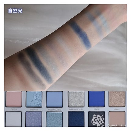 エクスプローラ12色 動物アイシャドウパレット/PERFECT DIARY/アイシャドウパレットを使ったクチコミ(5枚目)