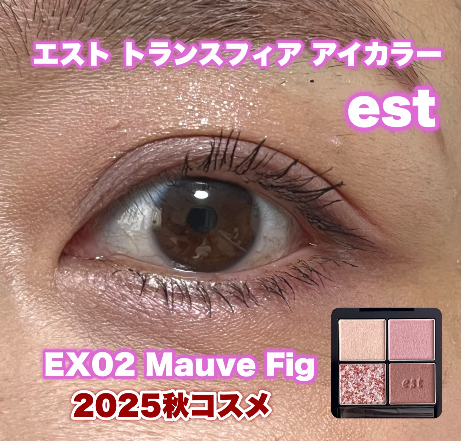 エスト トランスフィア アイカラー/est/アイシャドウパレットを使ったクチコミ（1枚目）