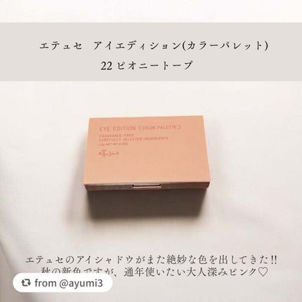 エテュセ アイエディション(カラーパレット)/ettusais/アイシャドウパレットを使ったクチコミ(2枚目)
