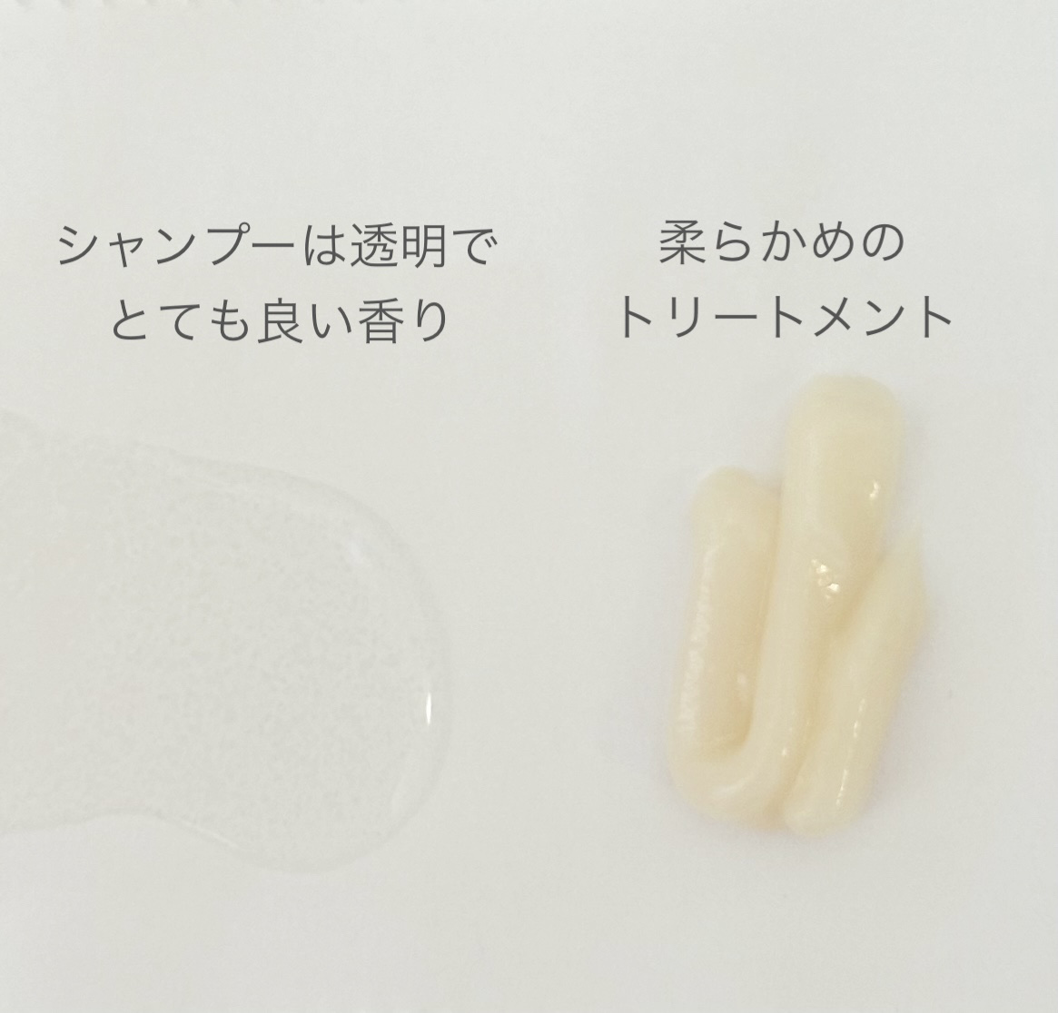 ディアボーテ ブルームドール モイスチャーイン シャンプー/トリートメント/ディアボーテ/市販シャンプーを使ったクチコミ（2枚目）