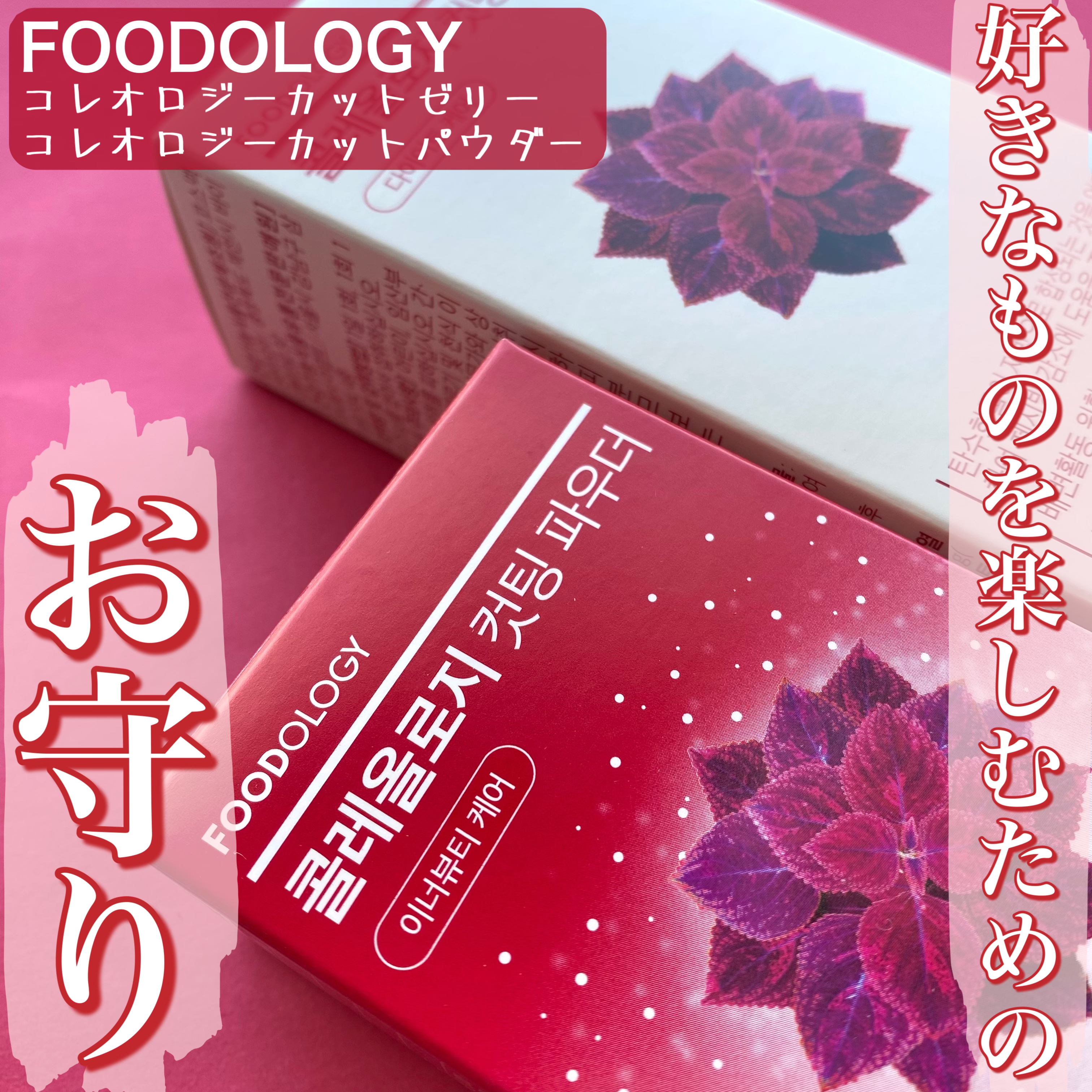 FOODOLOGY様よりコレオロジーカットパウダーとコレオロジーカットゼリーをいただきました🎉

FOODOLOGY様の大人気コレオロジーシリーズから新商品「コレオロジーカットパウダー」が登場🔥
食事と