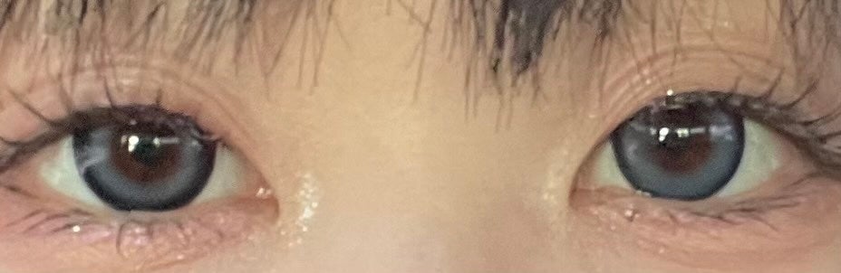 Angelcolor Bambi Series 1day /AngelColor/ワンデー(1DAY)カラコンを使ったクチコミ(2枚目)