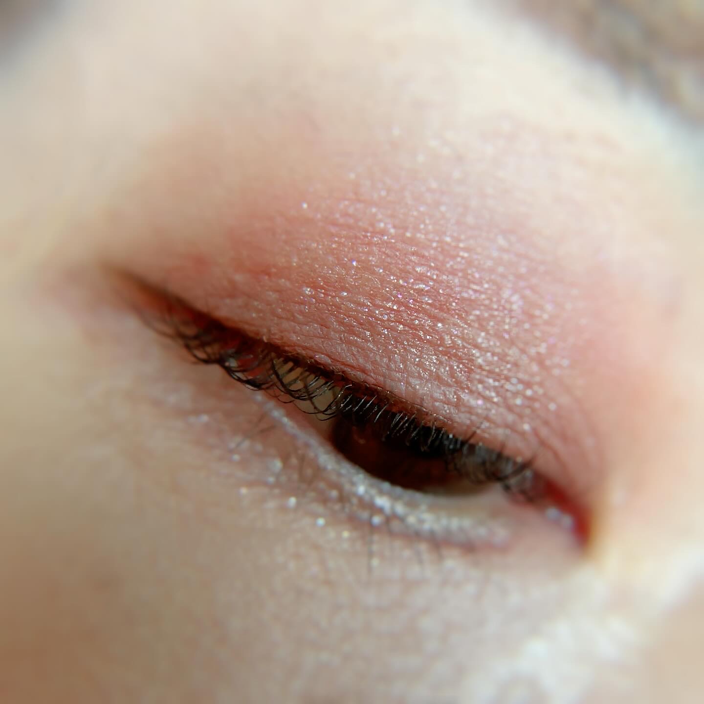 エクスプローラ12色 動物アイシャドウパレット 虎&猫/PERFECT DIARY/アイシャドウパレットを使ったクチコミ（3枚目）