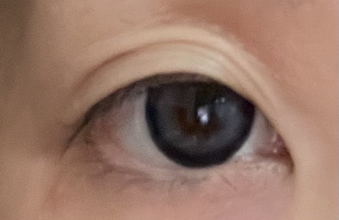 Angelcolor Bambi Series 1day  ブルーベリームーン/AngelColor/ワンデー（１DAY）カラコンを使ったクチコミ（1枚目）