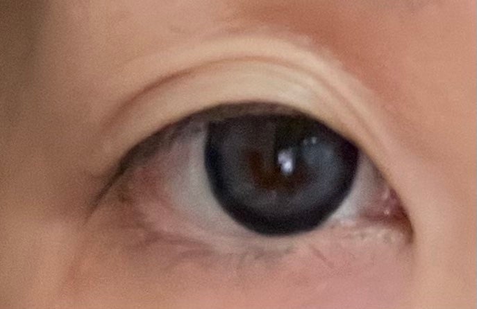 Angelcolor Bambi Series 1day /AngelColor/ワンデー(1DAY)カラコンを使ったクチコミ(1枚目)