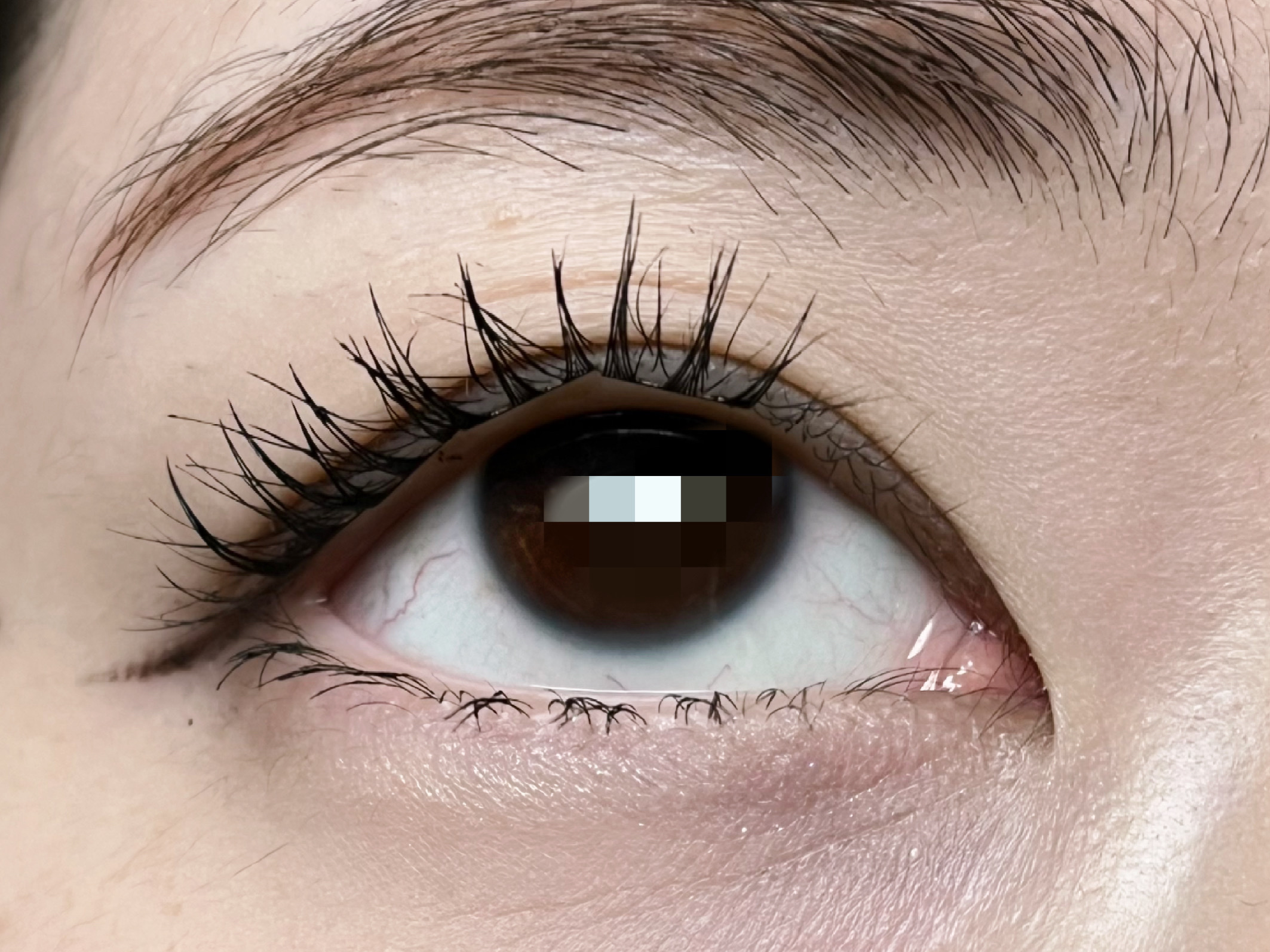 toktokhara no glue eyelash/CORINGCO/つけまつげを使ったクチコミ（3枚目）