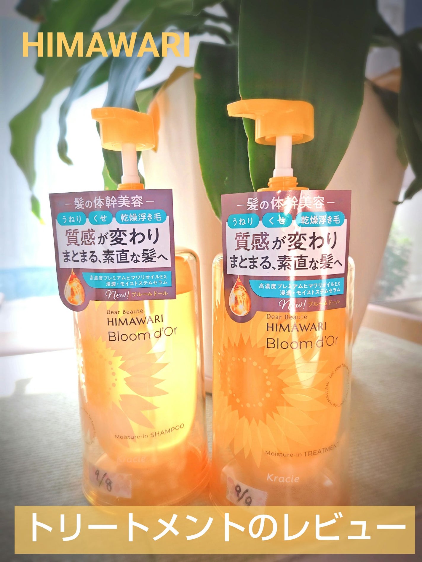 ãã£ã¢ããŒã ãã«ãŒã ããŒã« ã¢ã€ã¹ãã£ãŒã€ã³ ã·ã£ã³ããŒ/ããªãŒãã¡ã³ã/ãã£ã¢ããŒã/åžè²©ã·ã£ã³ããŒã䜿ã£ãã¯ãã³ãïŒ1æç®ïŒ