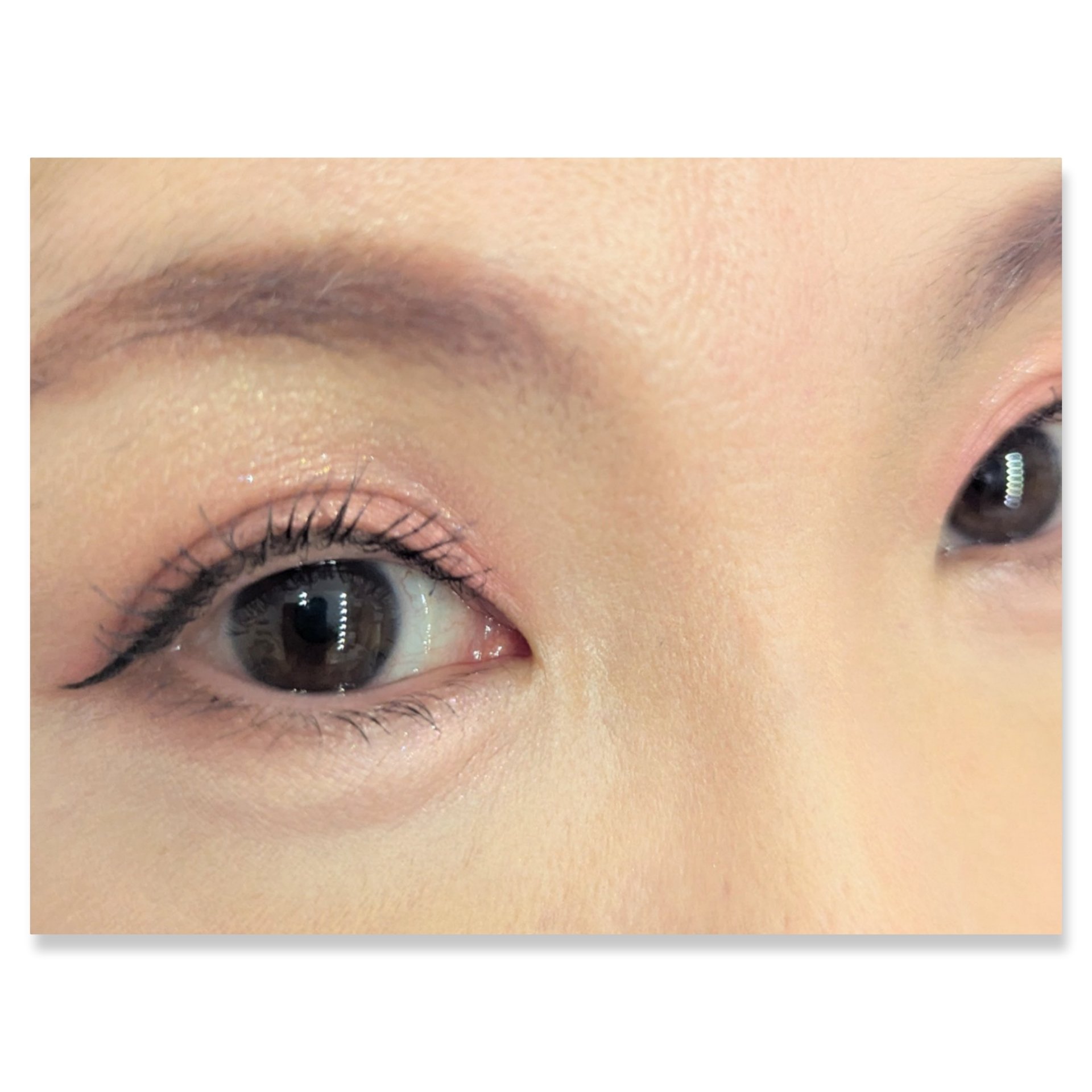 バブアイカラーパレット/minum/アイシャドウパレットを使ったクチコミ（2枚目）