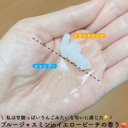 アンドペア コントロール モイスト 2in1 シャンプー&ヘアトリートメント/&PAIR/市販シャンプーを使ったクチコミ(3枚目)