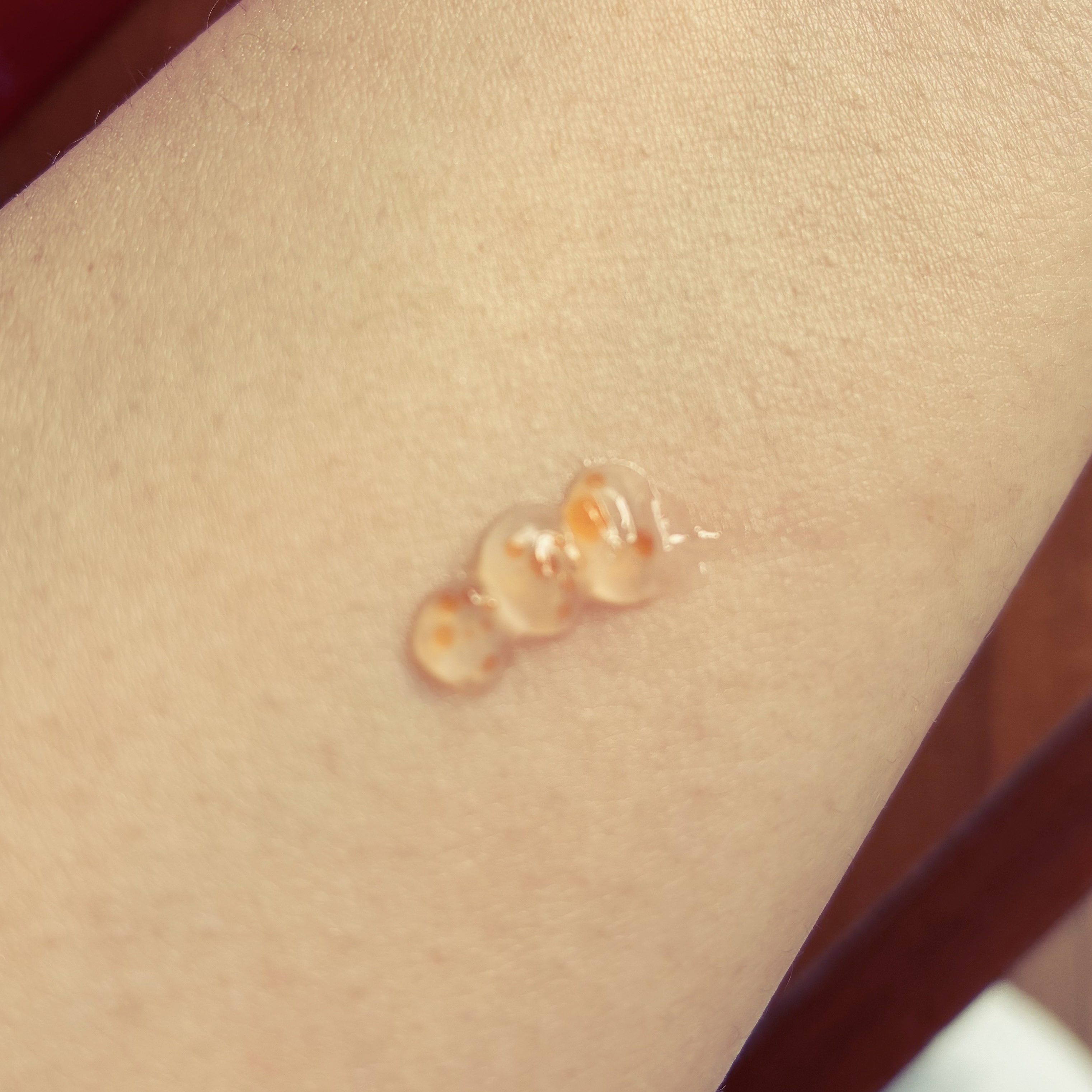 PDRNキューブクリーム/DPPR/フェイスクリームを使ったクチコミ（3枚目）