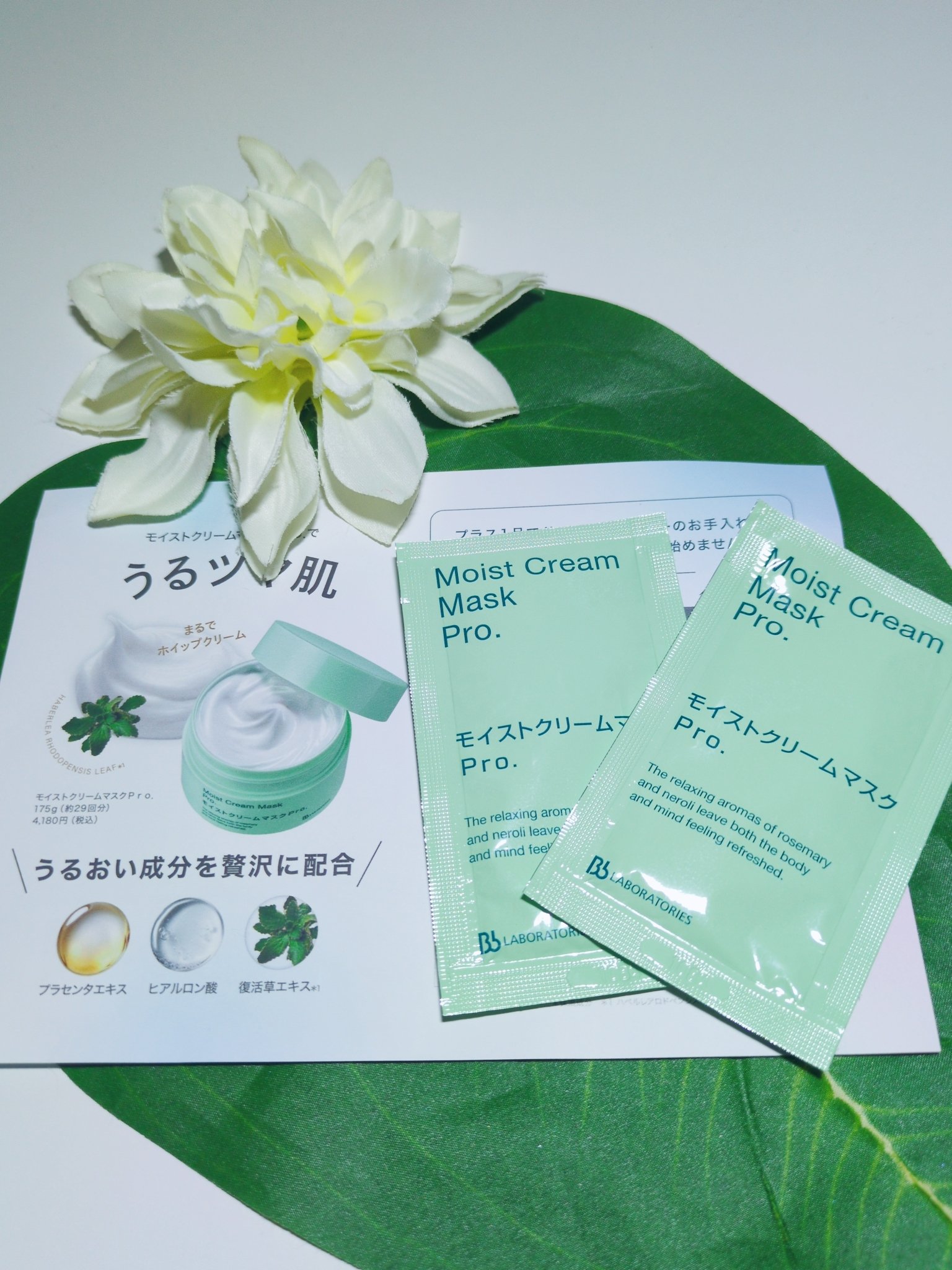 モイストバランシングマスクPro．/ビービーラボラトリーズ/洗い流すパック・マスクを使ったクチコミ（1枚目）