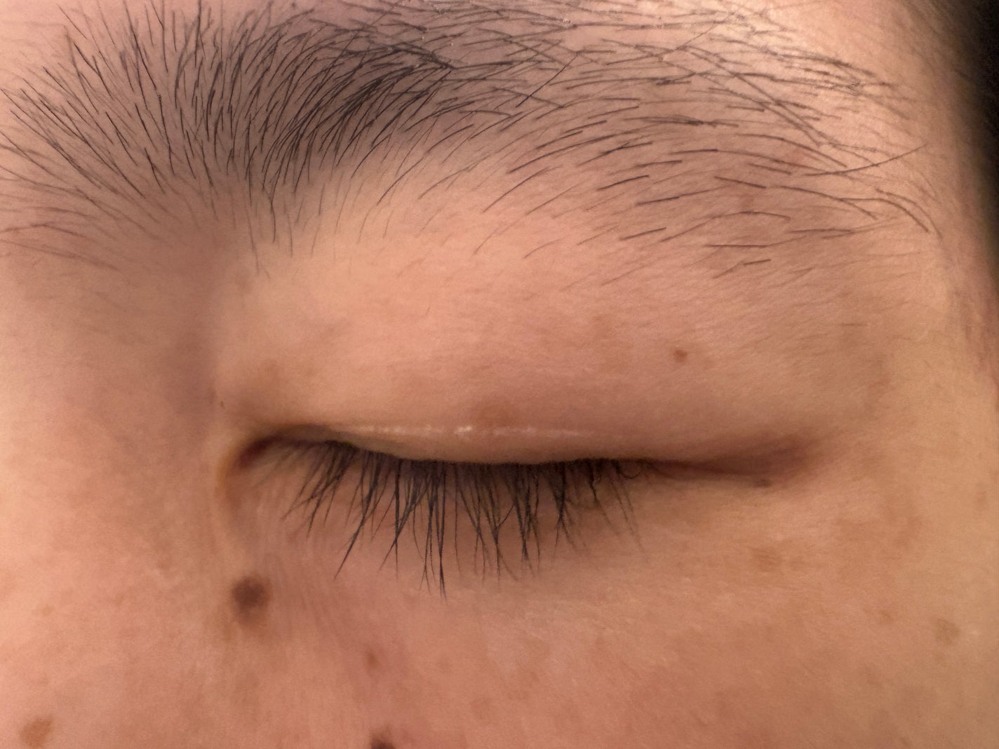 まつげ美容液リッチプラス/CEZANNE/まつげ美容液を使ったクチコミ(1枚目)