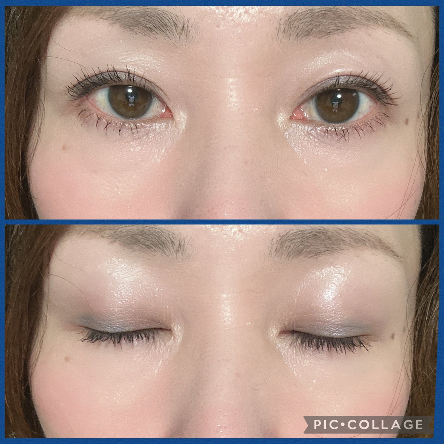 エクスプローラ12色 動物アイシャドウパレット/PERFECT DIARY/アイシャドウパレットを使ったクチコミ(3枚目)