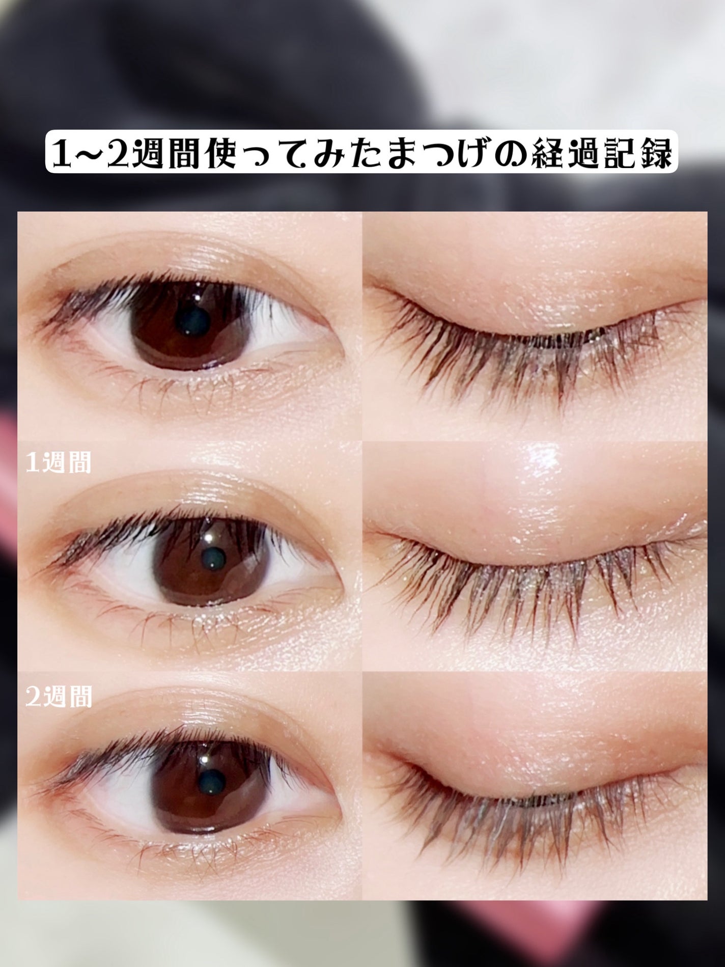 湘南美容まつ毛美容液PREMIUM/湘南美容/まつげ美容液を使ったクチコミ(5枚目)