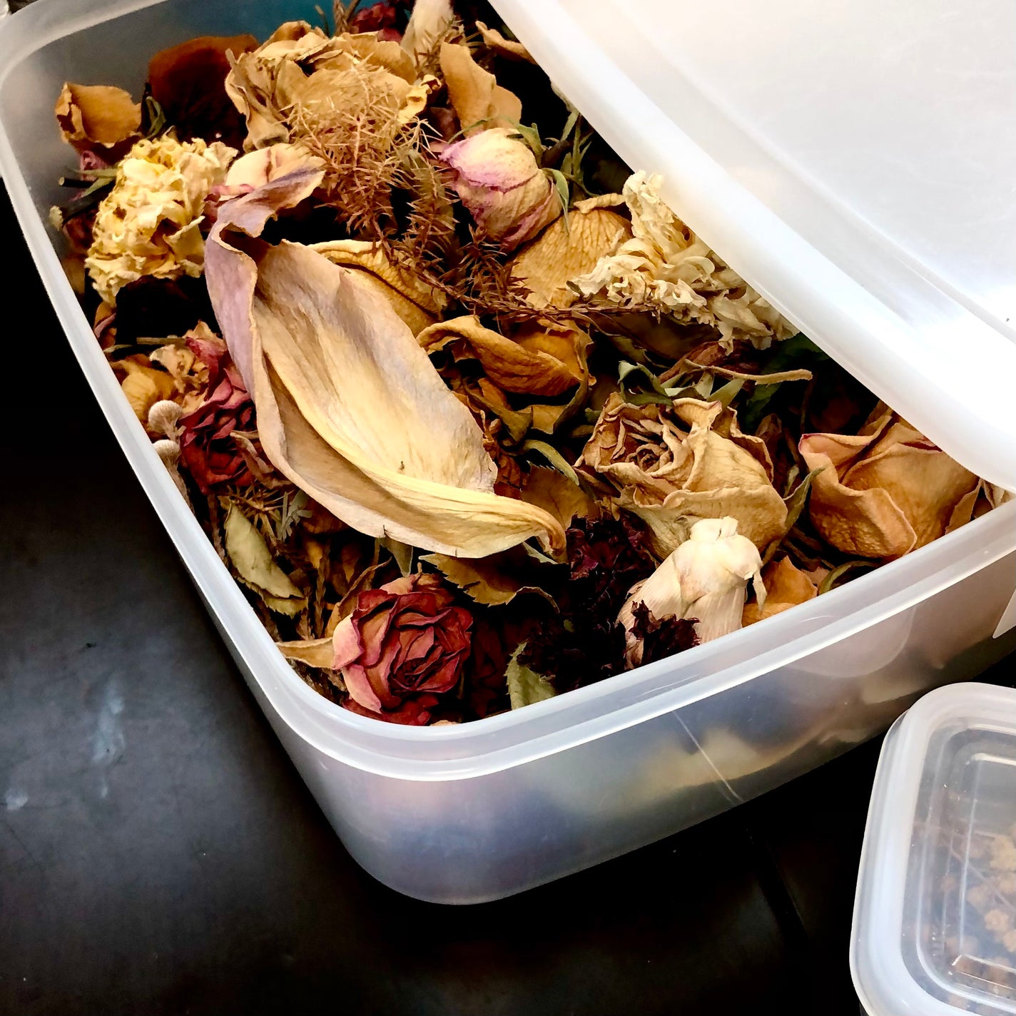 Lei_4400 on LIPS 「焚き火キャンドル🔥作りの日パチパチという音が聴きたくて、家にあ..」(8枚目)