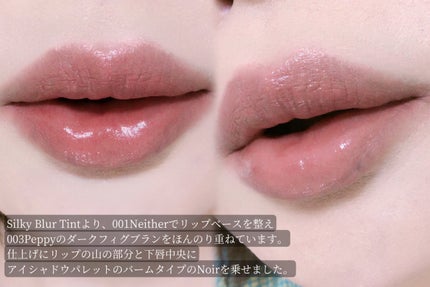 シルキーブラーティント/ArteSinsa/口紅を使ったクチコミ(5枚目)