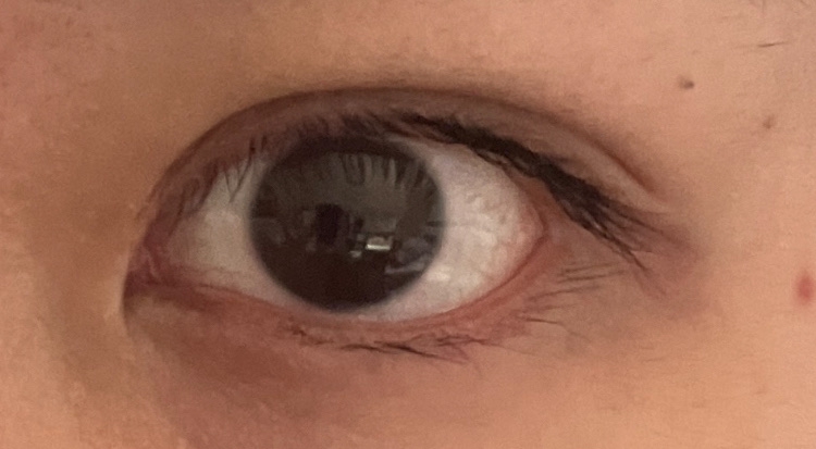 Natural Black/TeAmo/カラーコンタクトレンズを使ったクチコミ（3枚目）