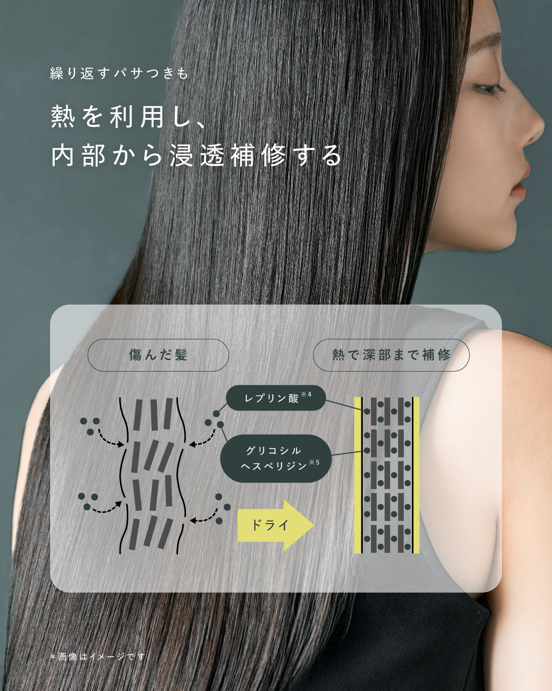 ボタニスト サンタル リペアオイルインシャンプー/トリートメント/BOTANIST/市販シャンプーを使ったクチコミ(5枚目)