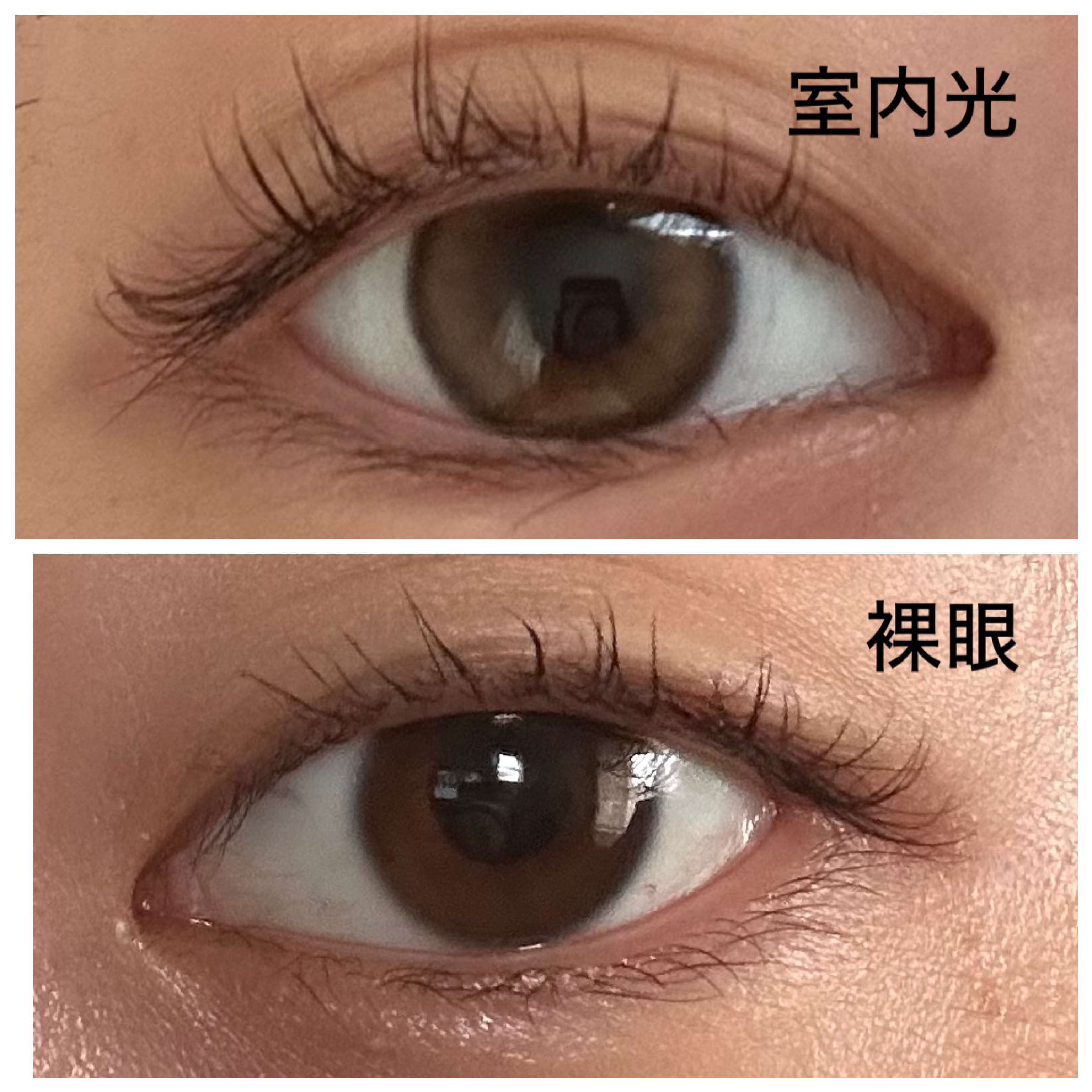 ViVi Ring 1day ベージュ/OLENS/ワンデー（１DAY）カラコンを使ったクチコミ（3枚目）