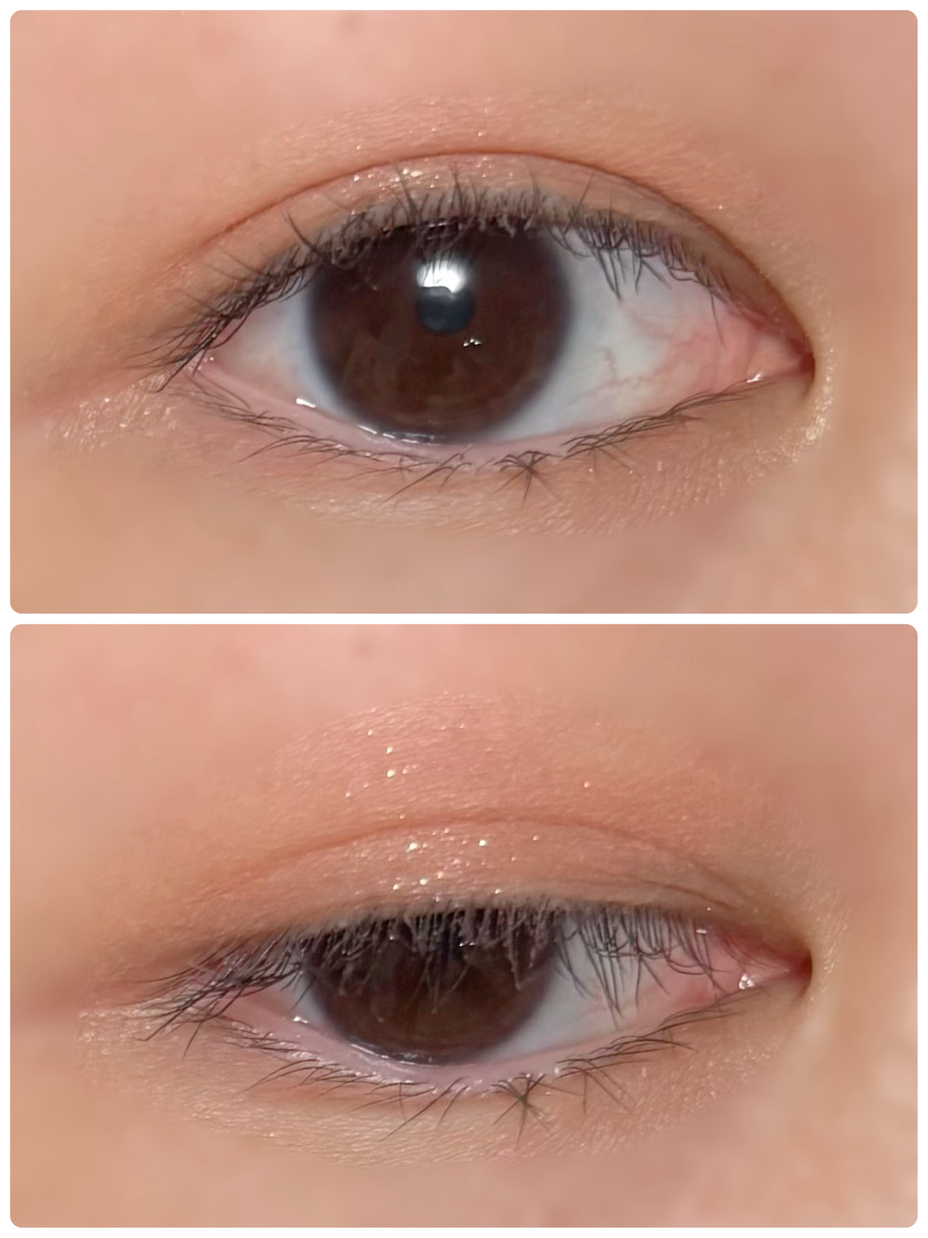 シャドウパレット/dasique/アイシャドウパレットを使ったクチコミ（2枚目）