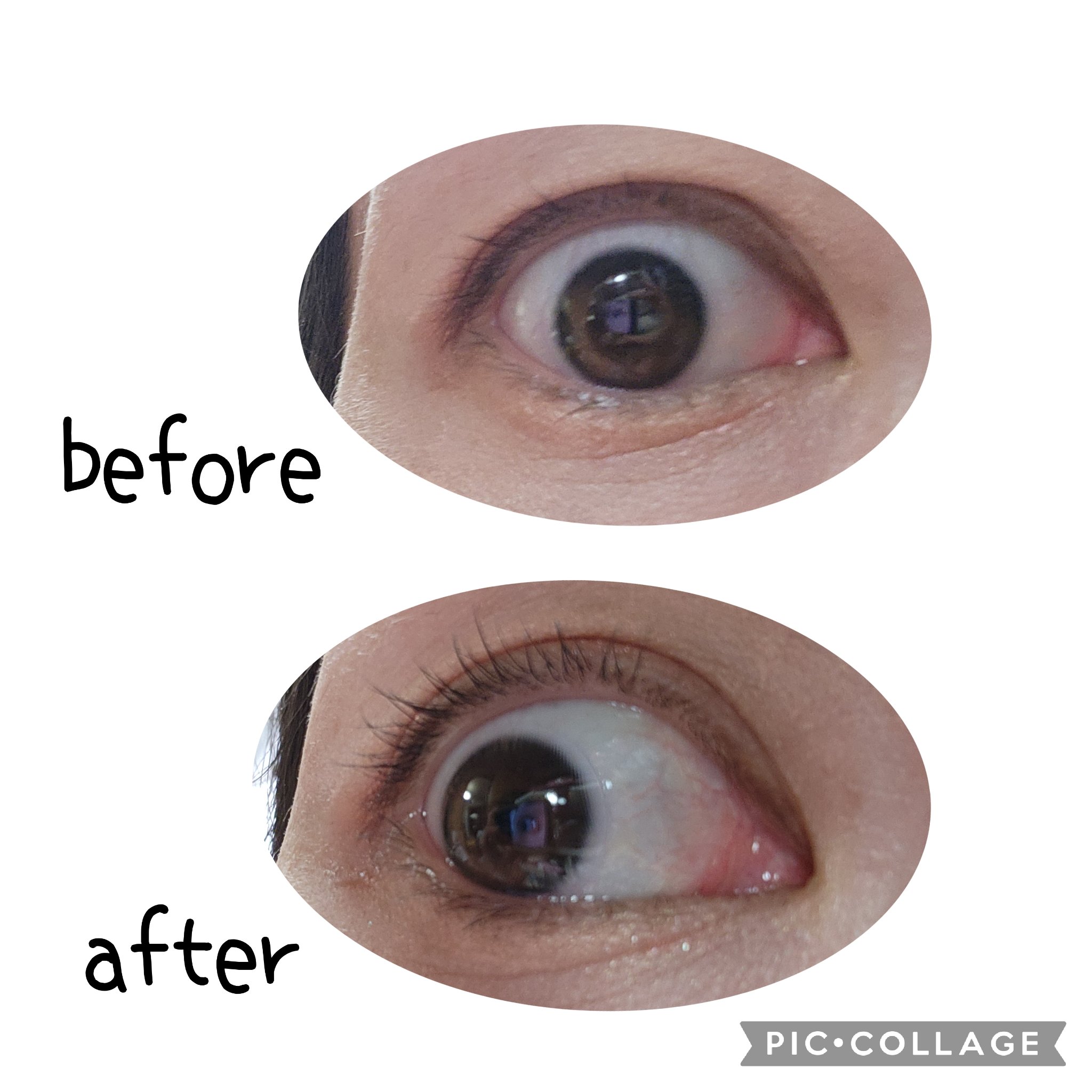 ミッシュブルーミン スタイリングカールキープマスカラ下地 01 シースルーティントブラック/ミッシュブルーミン/マスカラ下地を使ったクチコミ（1枚目）