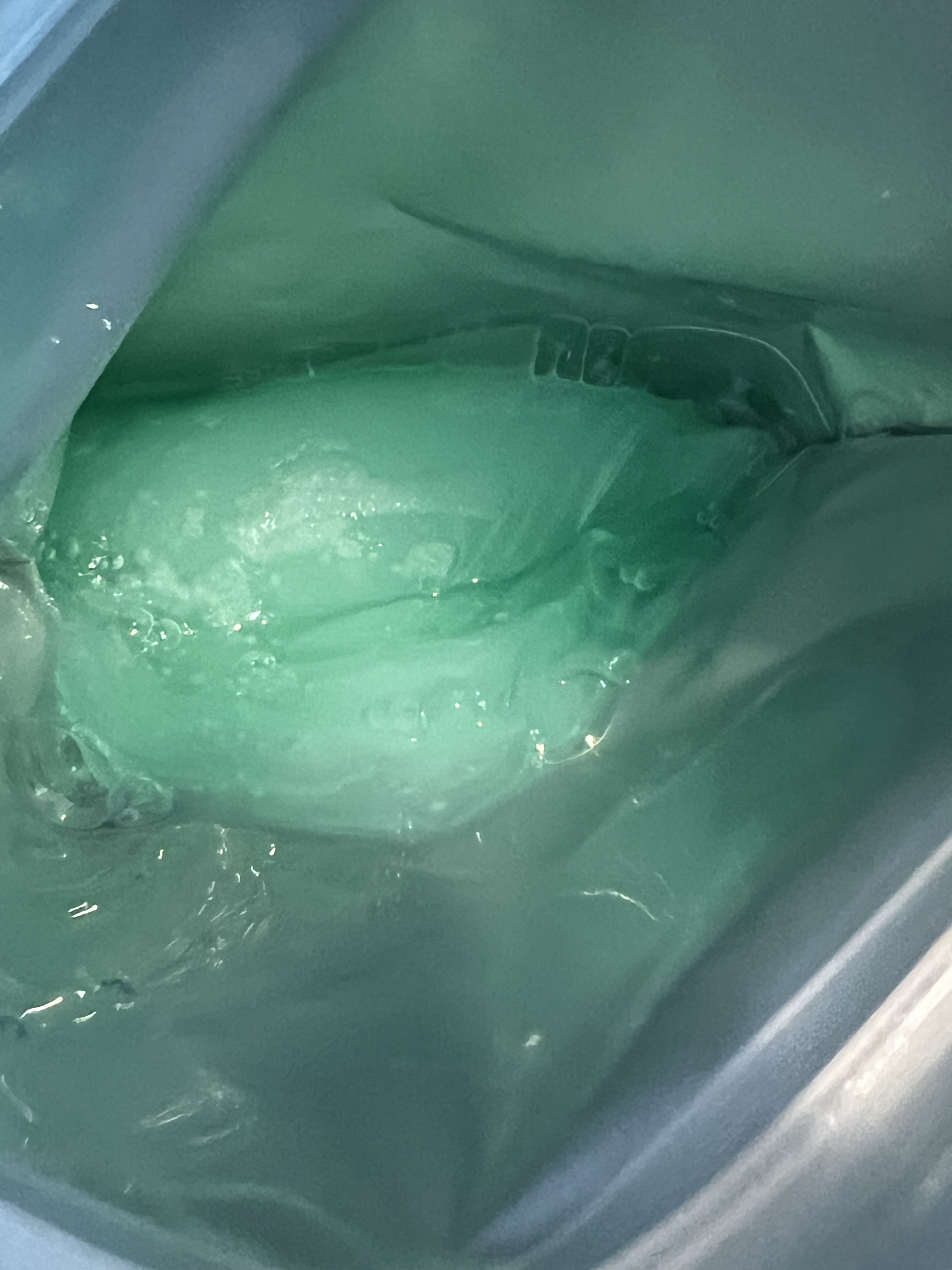 アヌアPHセラムインマスク/Anua/シートマスク・パックを使ったクチコミ（2枚目）