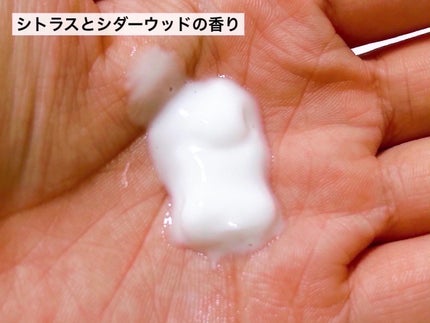 VC ã¢ãããã«ã¯/ãžã§ã³ãœã³ããã£ã±ã¢/ããã£ãã«ã¯ã䜿ã£ãã¯ãã³ãïŒ5æç®ïŒ