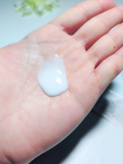 ナーヴ クリーム/カシー/フェイスクリームを使ったクチコミ(3枚目)