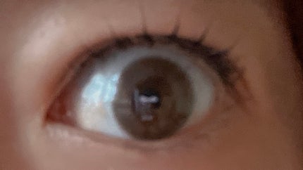 FLANMY 1day サクラロール/FLANMY/ワンデー(1DAY)カラコンの画像