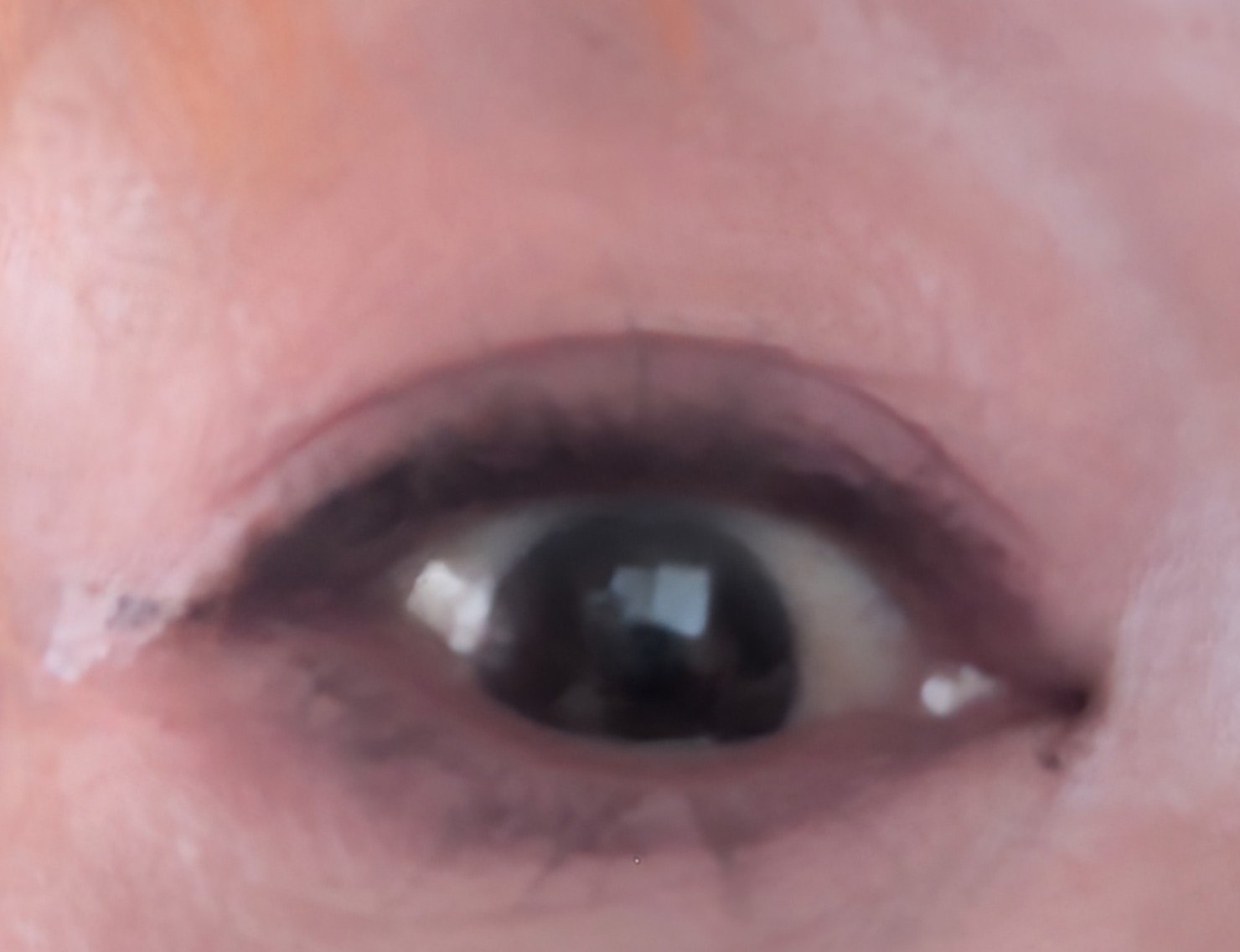 プライムリキッドアイライナー リッチキープ/ヒロインメイク/リキッドアイライナーを使ったクチコミ（2枚目）