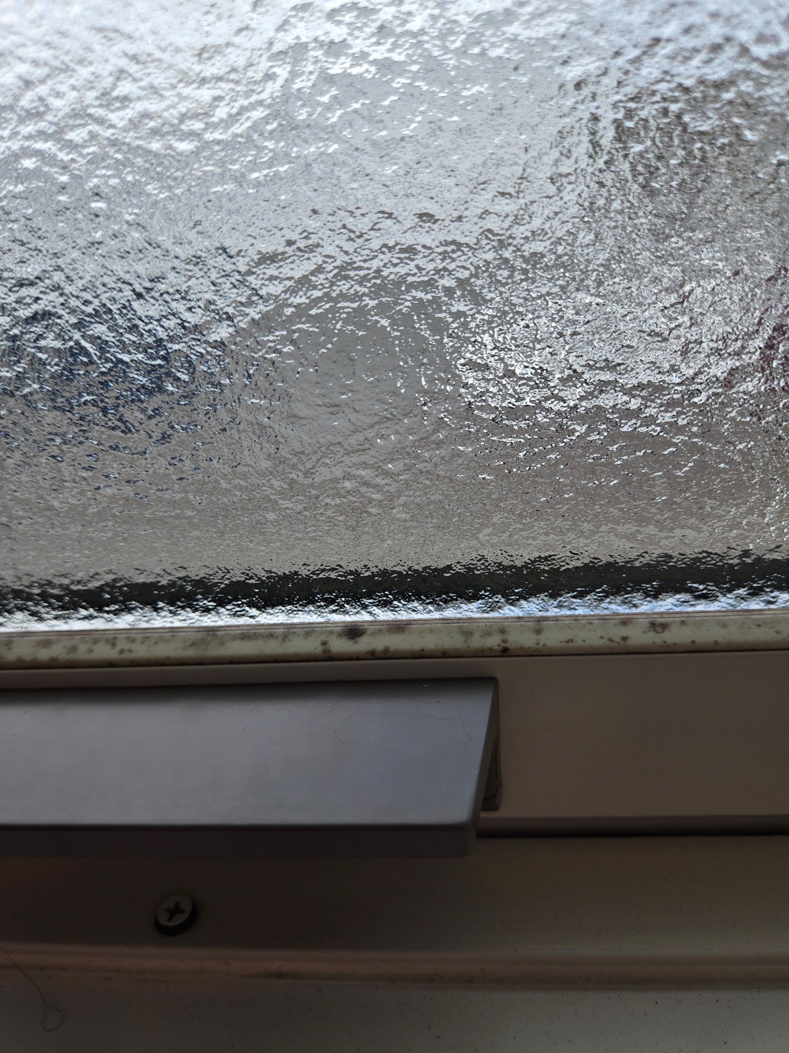 Mol clear Pro/ホコニコ/その他を使ったクチコミ（2枚目）