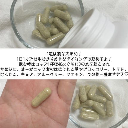 ホールフード マルチビタミン&ミネラル/Dr. Choi's Solution/健康サプリメントを使ったクチコミ(4枚目)