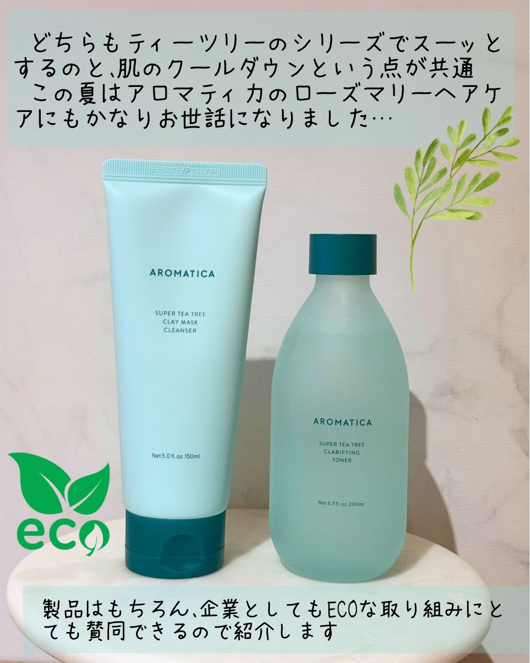 スーパーティーツリークレイマスククレンザー/AROMATICA/洗顔フォームを使ったクチコミ（2枚目）