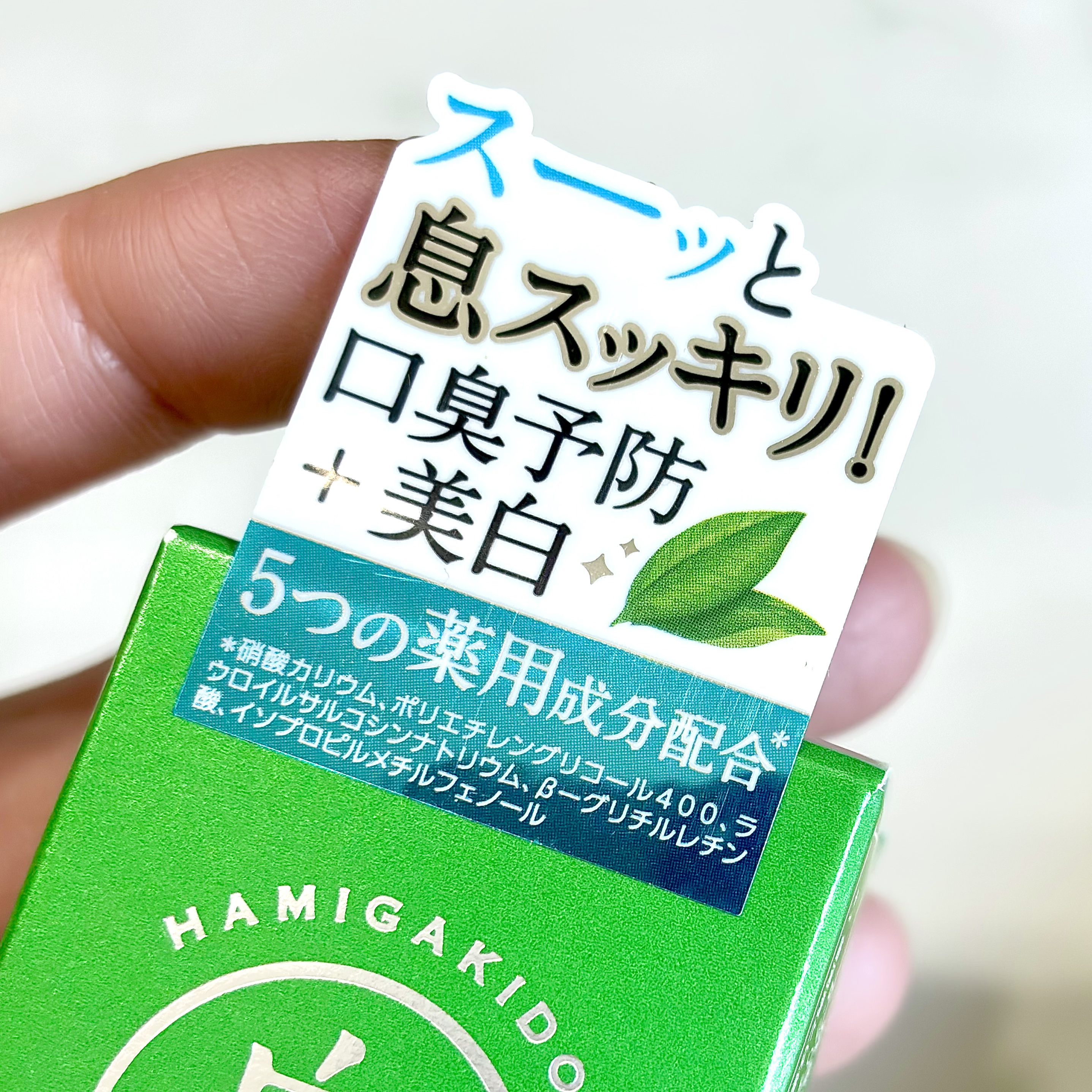 薬用フレッシュペースト【医薬部外品】/歯磨き堂/歯磨き粉を使ったクチコミ（2枚目）