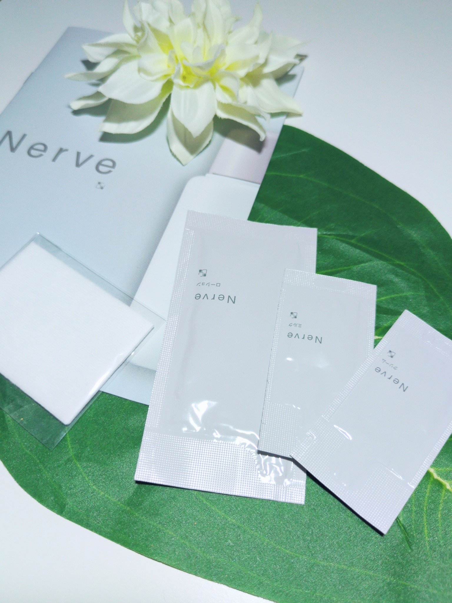 試してみた】カシー ナーヴ ローションの効果・肌質別の口コミ